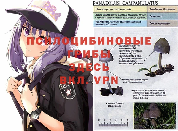 метамфетамин Михайловск